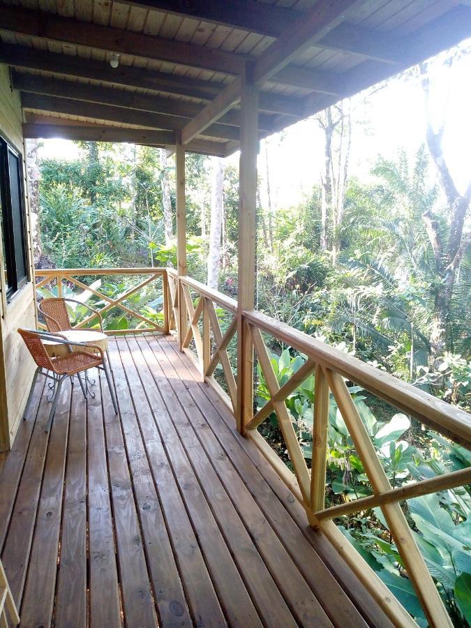 Forest Lodge Uvita Exterior foto